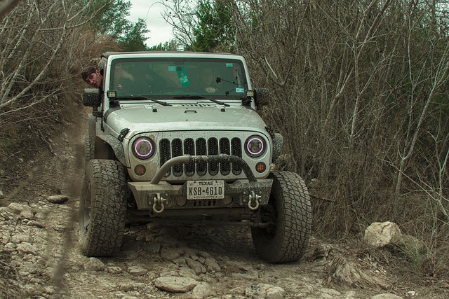 4x4-truck-640x480-52666358.jpeg