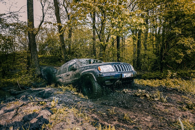 4x4 Truck