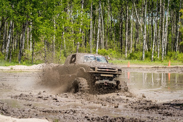 4x4-truck-640x480-1448287.jpeg
