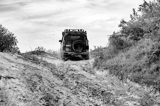 4x4-truck-640x480-21838878.jpeg