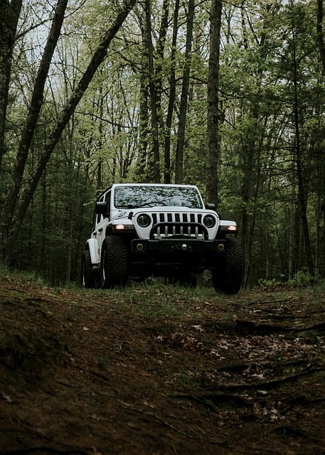 4x4-truck-640x480-44795848.jpeg
