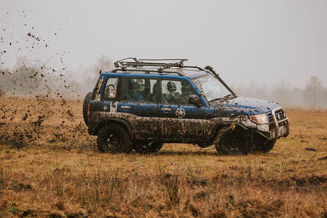 4x4-truck-640x480-45918645.jpeg