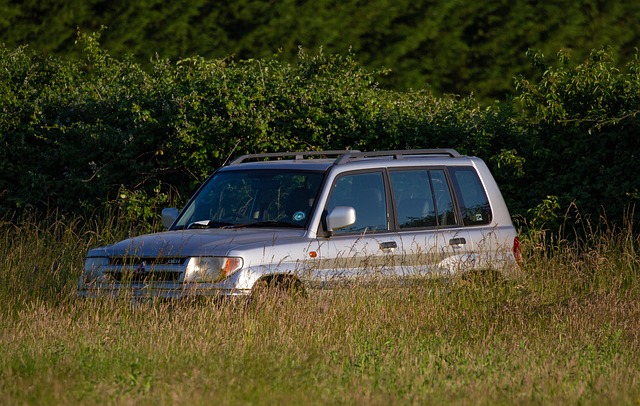 4x4-truck-640x480-49879203.jpeg