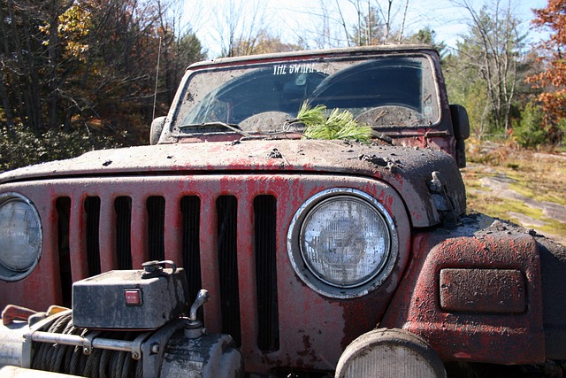 4x4-truck-640x480-5695783.jpeg