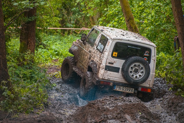4x4 Truck