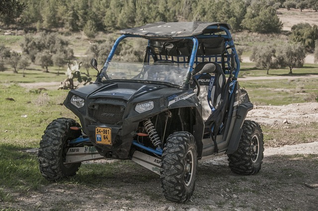 4x4-truck-640x480-58274520.jpeg