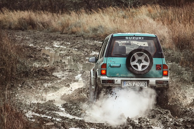 4x4-truck-640x480-77643252.jpeg