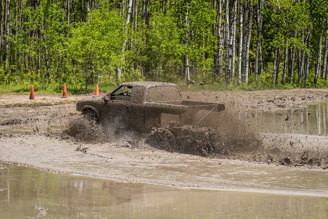 4x4-truck-640x480-79053022.jpeg