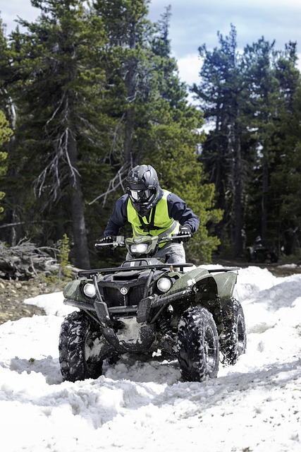 4x4-truck-640x480-80744780.jpeg