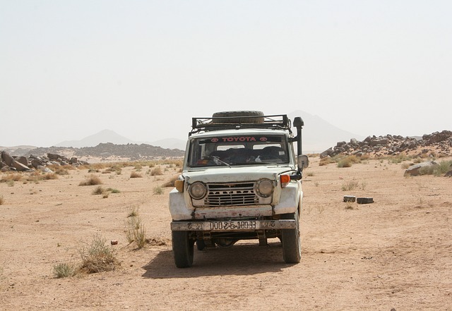 4x4-truck-640x480-92363634.jpeg