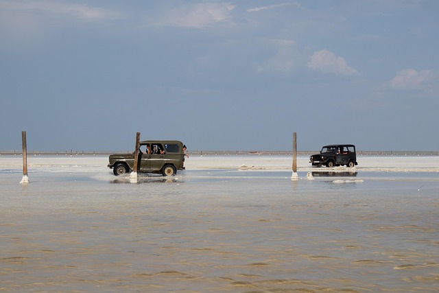 4x4-truck-640x480-27776638.jpeg