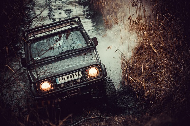4x4-truck-640x480-35448618.jpeg