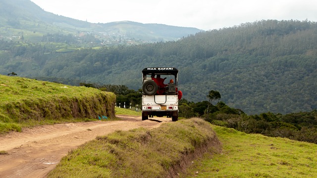 4x4-truck-640x480-6991585.jpeg