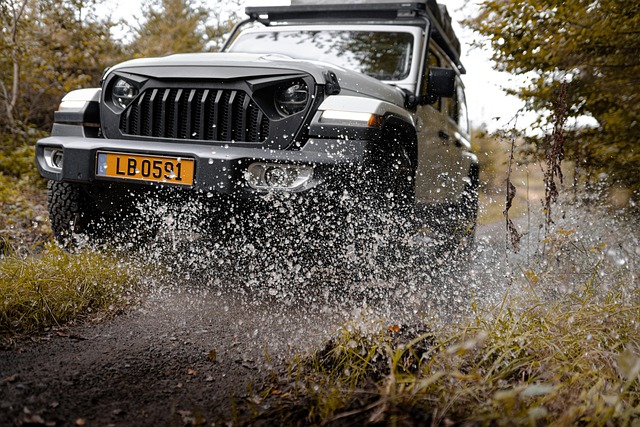 4x4-truck-640x480-81106573.jpeg
