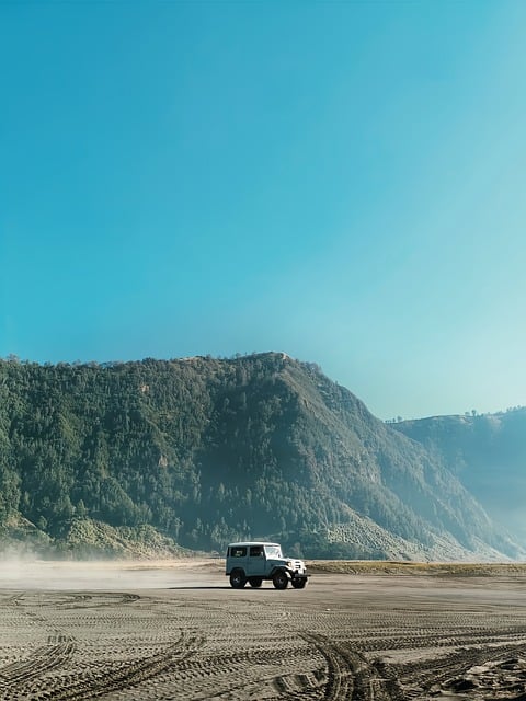 4x4-truck-640x480-92811946.jpeg