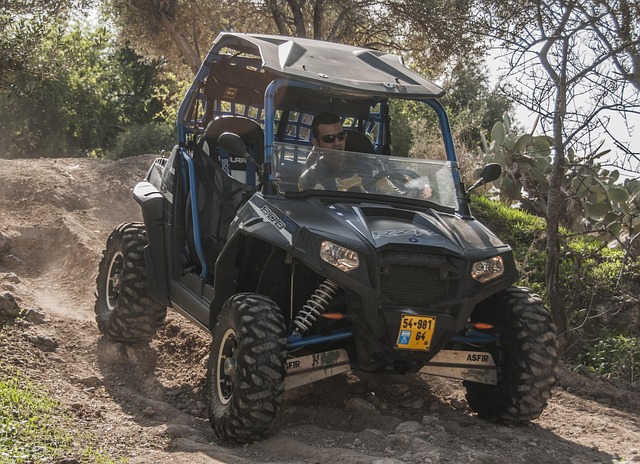 4x4-truck-640x480-9601903.jpeg