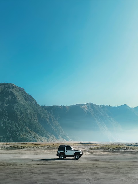 4x4-truck-640x480-97236190.jpeg
