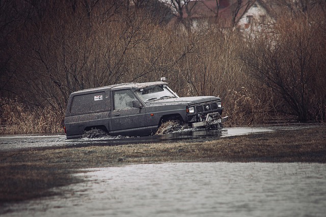 4x4 Truck