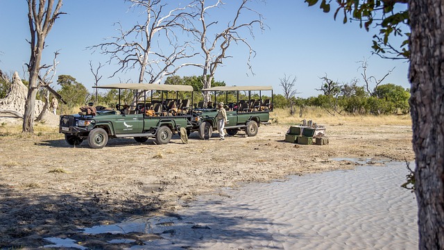 4x4-truck-640x480-77496388.jpeg