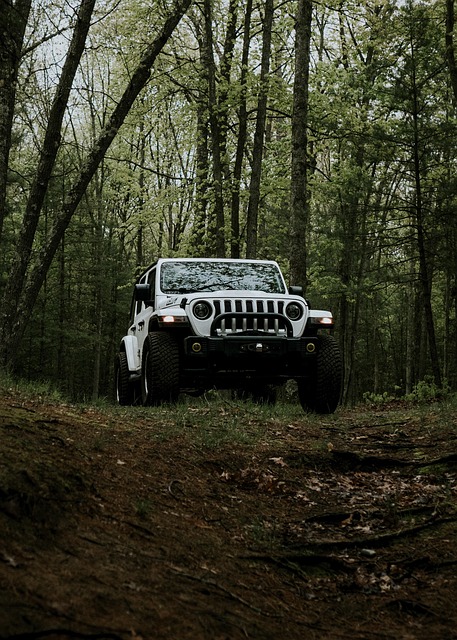 4x4-truck-640x480-85024627.jpeg