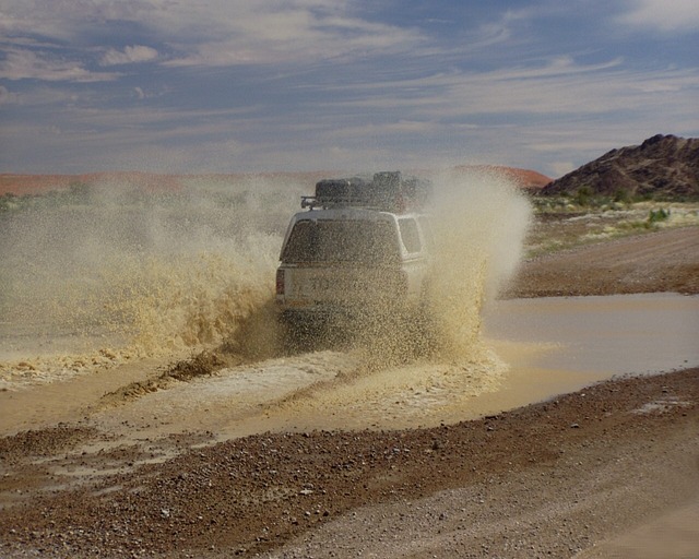 4x4 Truck