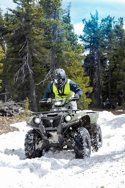 4x4-truck-640x480-37051798.jpeg