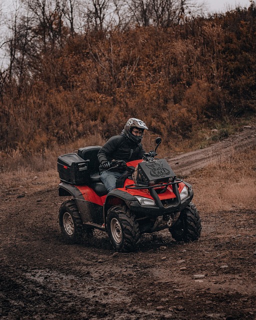 4x4-truck-640x480-50406522.jpeg