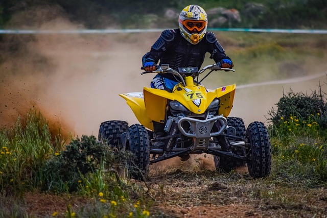 Boost Your 4×4’s Performance with Affordable, Top-Tier Suspension Upgrades in Brownsville
