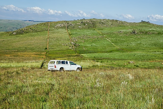 4x4 Truck