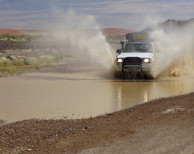 4x4 Truck