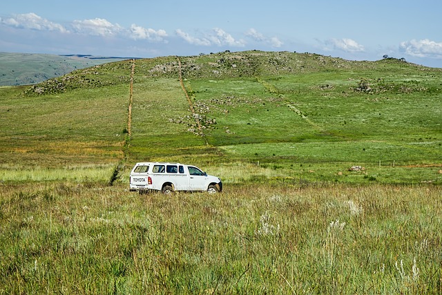 4x4-truck-640x480-97494583.jpeg
