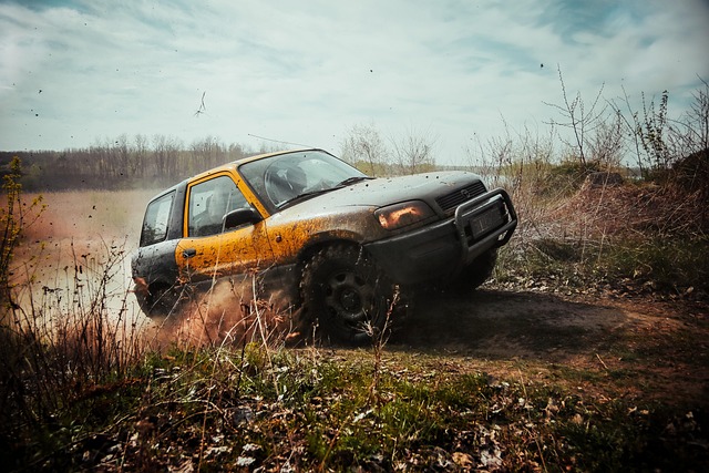 4x4 Truck