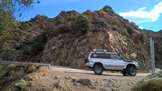 4x4 Truck