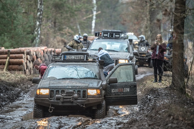 4x4 Truck