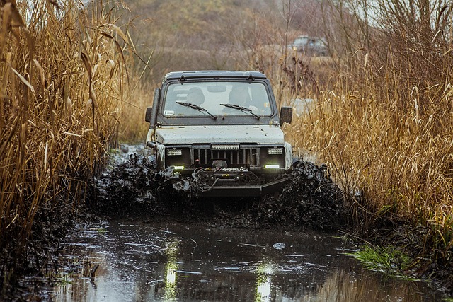 4x4 Truck