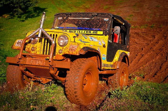 4x4 Truck