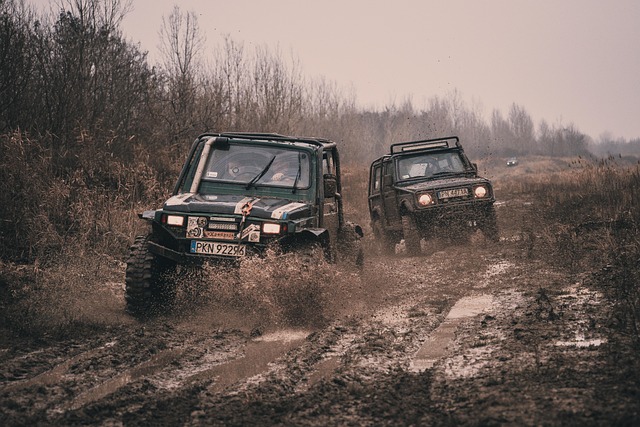 4x4 Truck