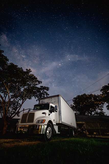 4x4 Truck