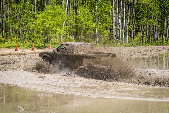 4x4 Truck