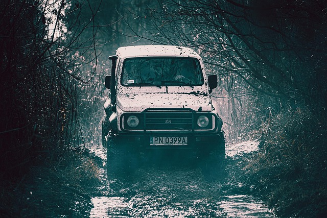 4x4 Truck
